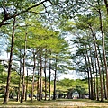 舊社公園12.jpg