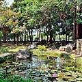 舊社公園25.jpg