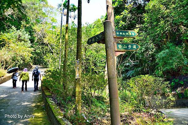 新田步道9.jpg