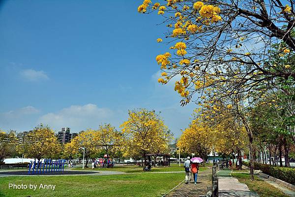 廍子公園18.jpg