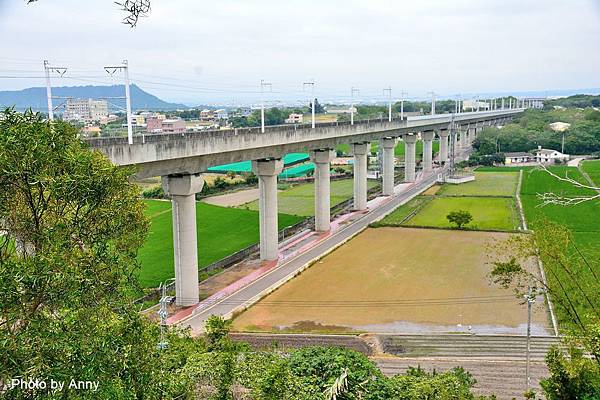 桐花步道70.jpg