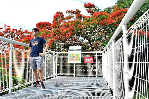 掛山步道41.jpg