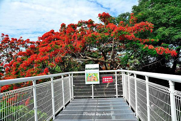 掛山步道40.jpg