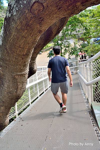 掛山步道53.jpg