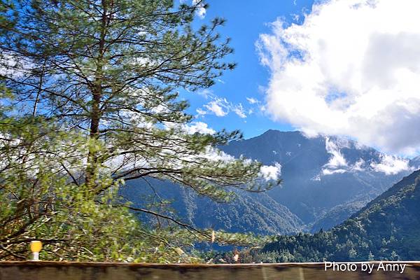 遊南投 新中橫公路之旅 夫妻樹 塔塔加遊客中心 賞楓賞雲海 Anny S秘密花園 痞客邦