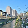 梅川7.jpg