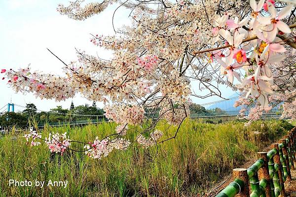 竹崎公園18.jpg