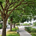 黎明新村25.jpg