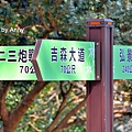 竹崎公園56.jpg