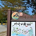 竹崎公園99.jpg