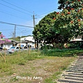 竹崎車站56.jpg