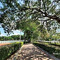 健康公園31.jpg