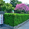 健康公園1.jpg