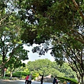 健康公園36.jpg