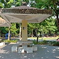 健康公園43.jpg