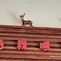 鹿野25.jpg