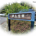 野人花園1.jpg