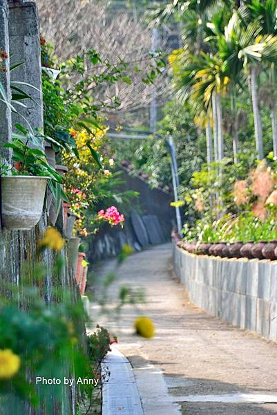 岩板巷藝術村56.jpg