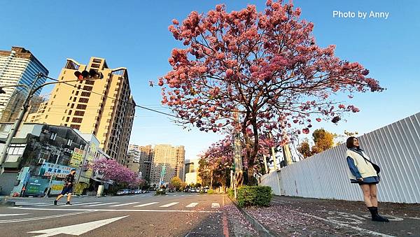 風鈴木54.jpg