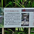 糖廠43.jpg