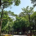 大安森林公園36.jpg