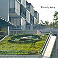 台大40-1.jpg