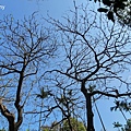 台北植物園19.jpg