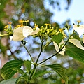 台北植物園35.jpg