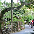 台北植物園51.jpg