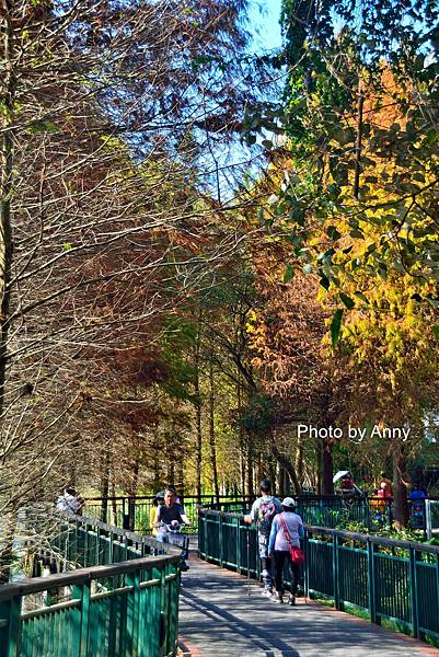 環湖步道19.jpg