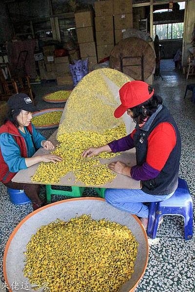 IMG_0004-4.jpg IMG_0004-4.jpg