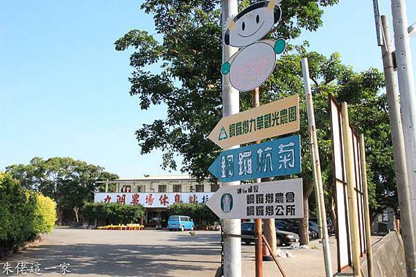 IMG_0007-4.jpg IMG_0007-4.jpg