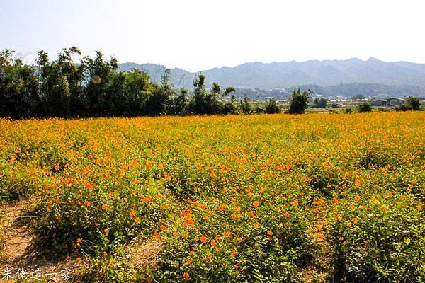 IMG_0010-4.jpg IMG_0010-4.jpg