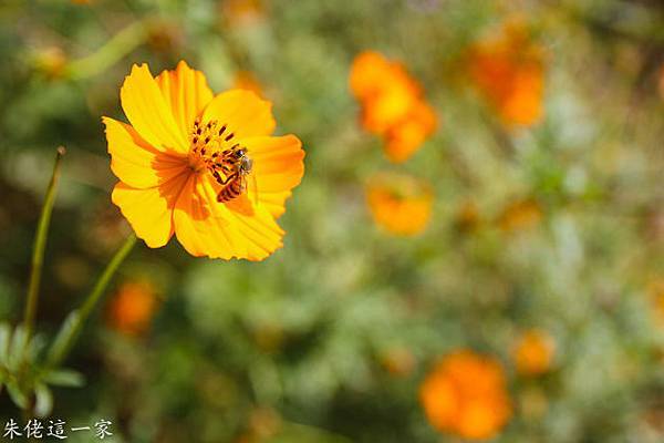 IMG_0016-4.jpg IMG_0016-4.jpg