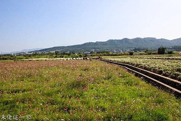 IMG_0057-4.jpg IMG_0057-4.jpg