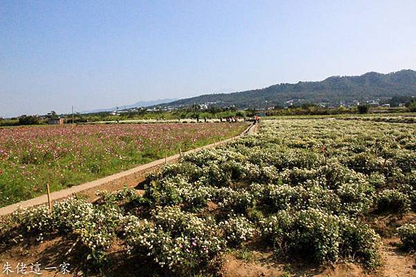 IMG_0060-4.jpg IMG_0060-4.jpg