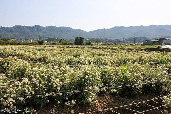 IMG_0068-4.jpg IMG_0068-4.jpg