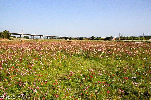 IMG_0073-4.jpg IMG_0073-4.jpg