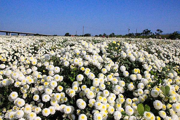 IMG_0078-4.jpg IMG_0078-4.jpg