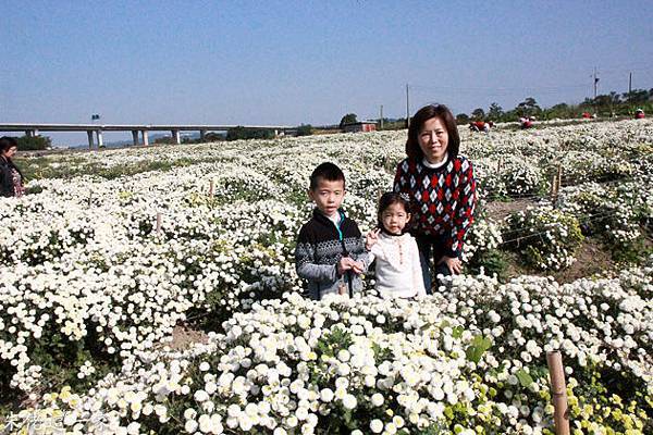 IMG_0090-4.jpg IMG_0090-4.jpg