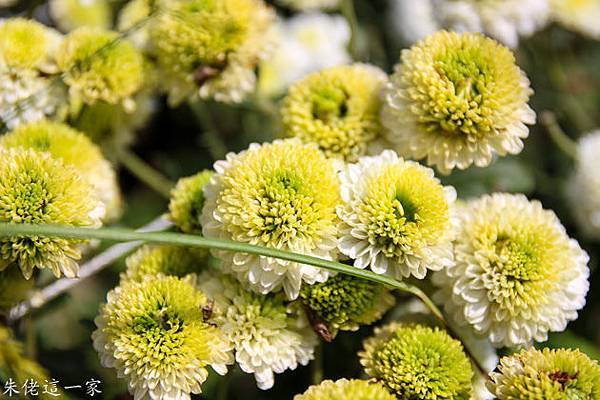 IMG_0133-4.jpg IMG_0133-4.jpg