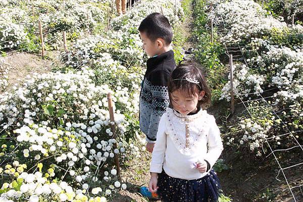 IMG_0135-4.jpg IMG_0135-4.jpg