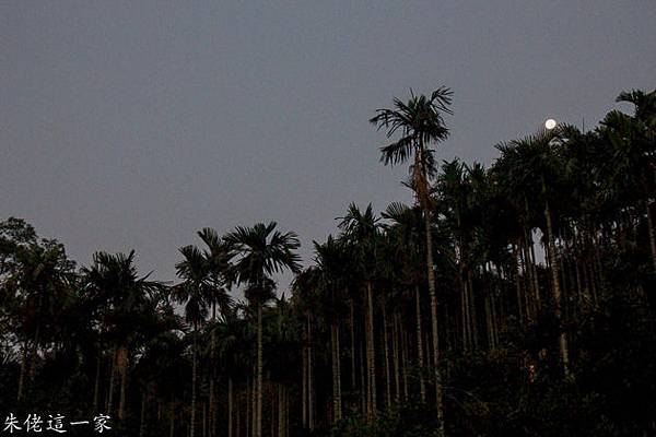 IMG_0623-3.jpg IMG_0623-3.jpg