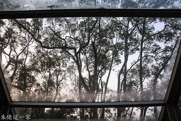 IMG_0625-3.jpg IMG_0625-3.jpg