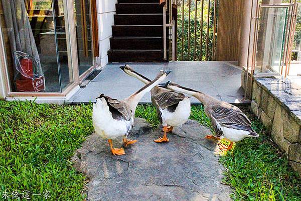 IMG_0652-2.jpg IMG_0652-2.jpg