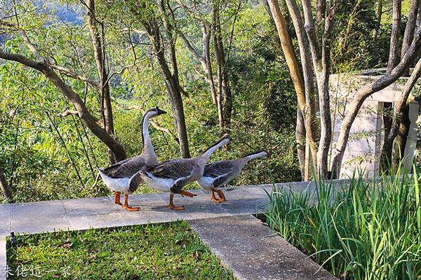 IMG_0662-2.jpg IMG_0662-2.jpg