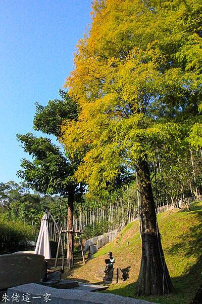 IMG_0671-2.jpg IMG_0671-2.jpg