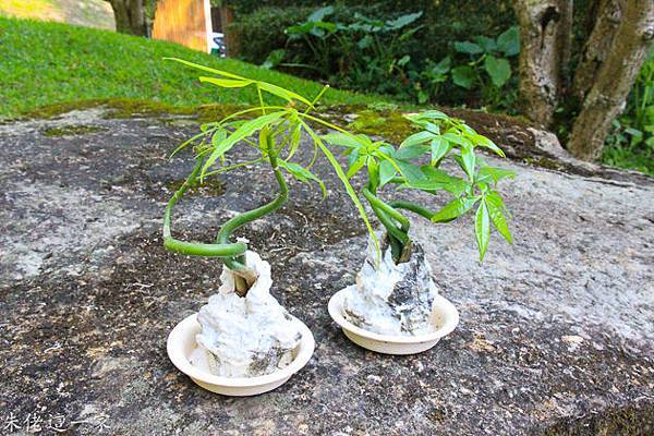 IMG_0699-2.jpg IMG_0699-2.jpg