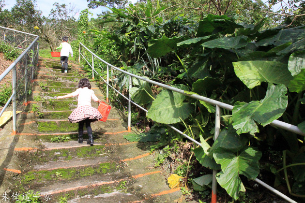 IMG_0520-2.jpg IMG_0520-2.jpg