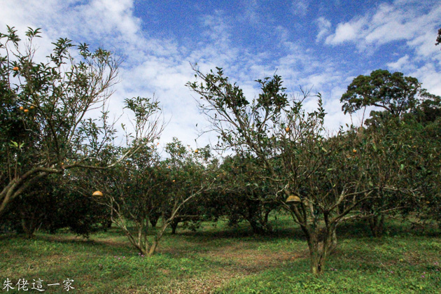 IMG_0528-2.jpg IMG_0528-2.jpg